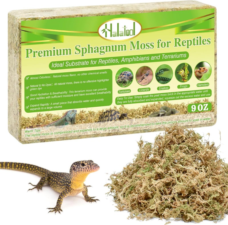 Halatool 9OZ Natural Sphagnum Moss for Reptiles Premium Reptile Moss Ideal Terrarium Moss for Box Turtles Hermit Crabs Leopard Gecko Snakes and Hamsters Enclosure - Image 1